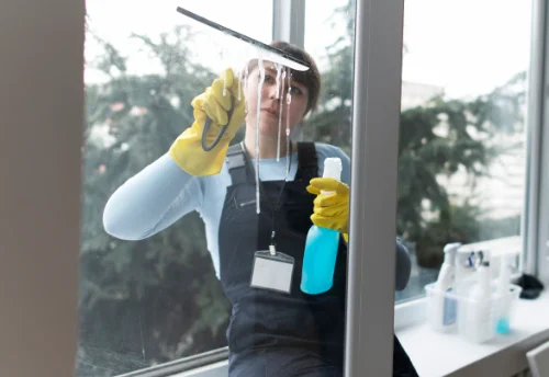 Nettoyage de vitres intérieures et extérieures à Luché-sur-Brioux